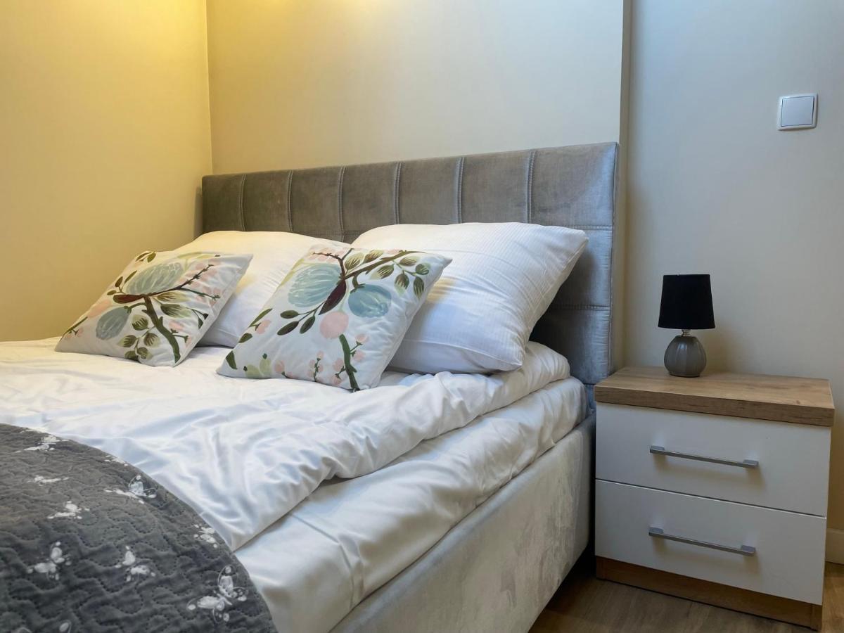 Apartment & Stara Polana